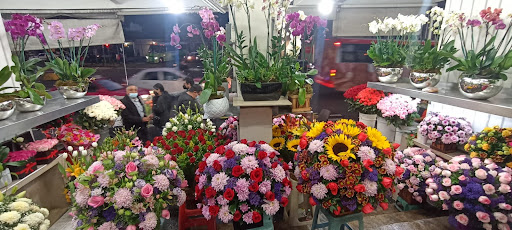 Imperio Floral San Angel