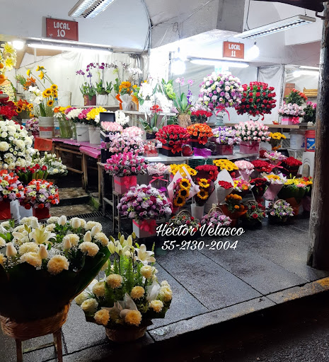 Florería Héctor Velasco