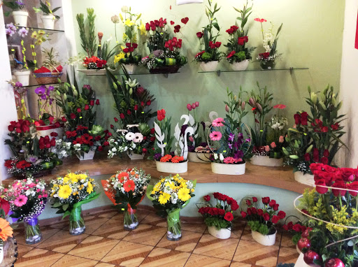 Florería Lupita