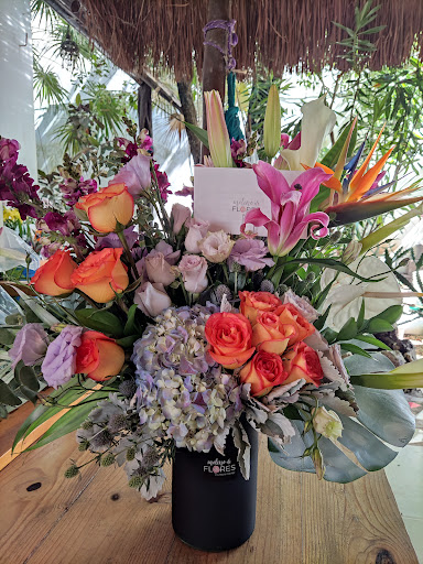 Molino de Flores Tulum