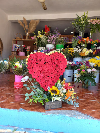 Flores del caribe tulum