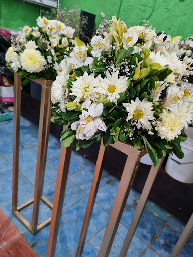 Floreria "Lirio de los Valles"