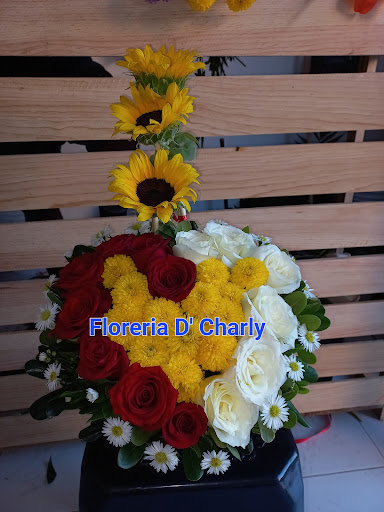 Floreria D'Charly Uman Yucatan