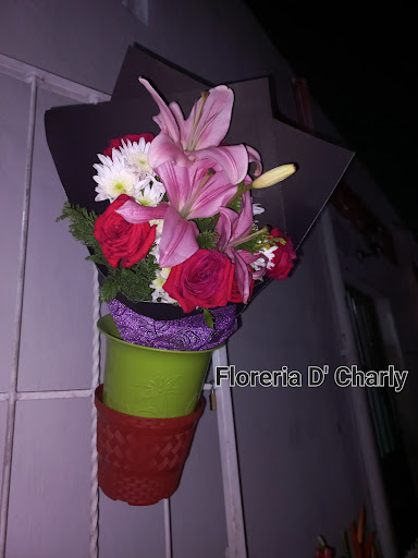 Floreria D'Charly Uman Yucatan