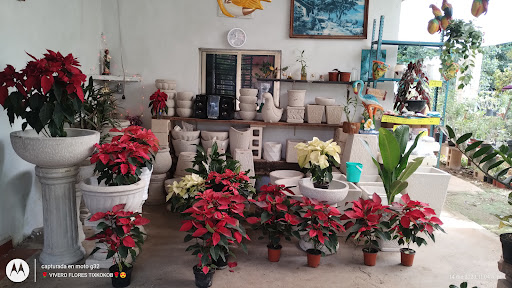 Vivero Flores Tixkokob