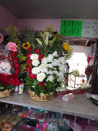 Floreria jasi y cami