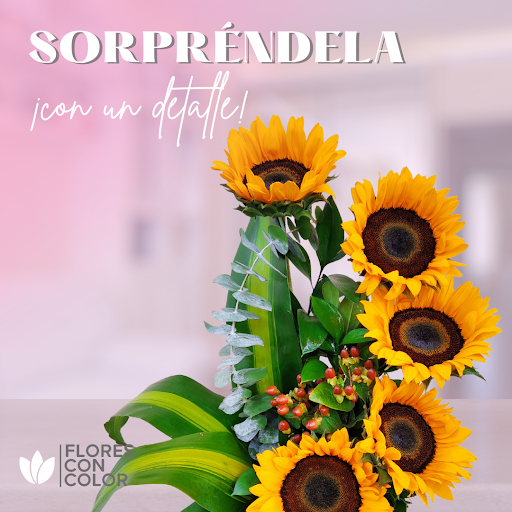 Florería Flores con Color