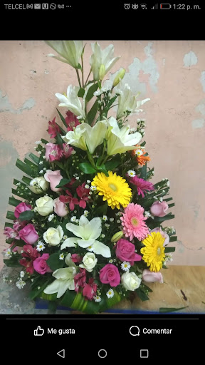 Flores y detalles floristería