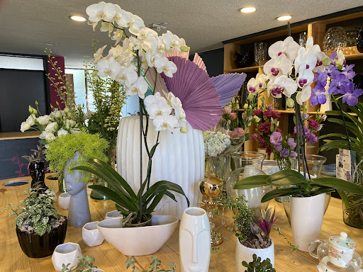 Florezza floristería