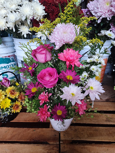 La Fattoria Florería