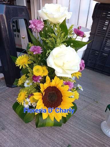 Floreria D'Charly Uman Yucatan
