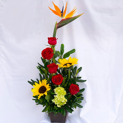 Florería casa blanca