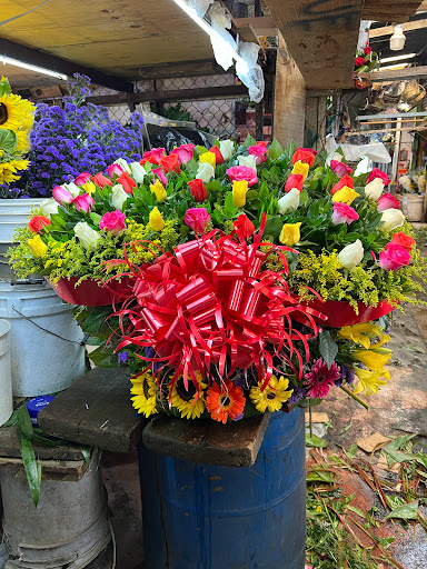 Florería Rosy