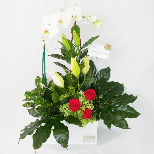 Floreria Tiffany