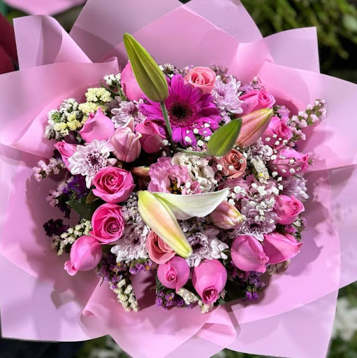 La Orquídea