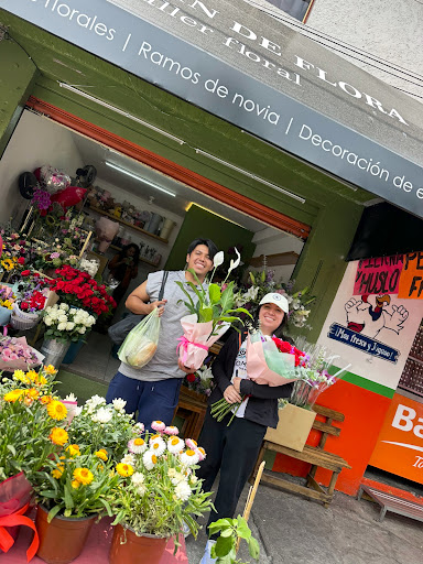 EL JARDÍN DE FLORA :: TALLER FLORAL / FLORES A DOMICILIO