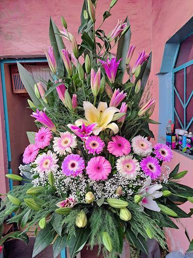 La casa de las flores=floreria