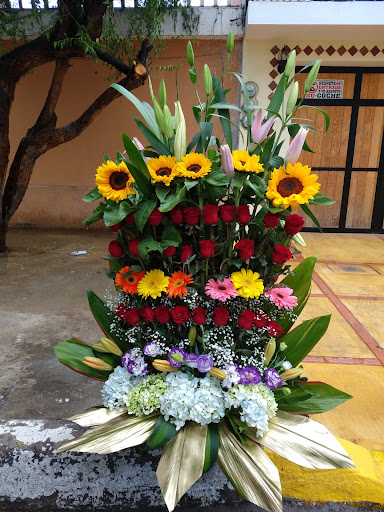 Floristería y Decoraciónes Alexa