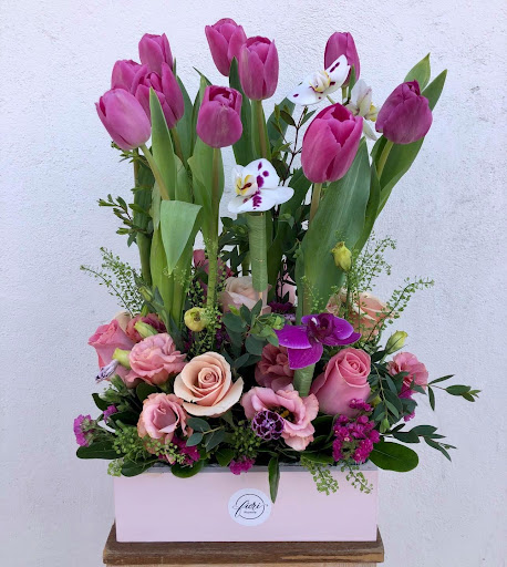 Floreria Fiori Toluca y Metepec