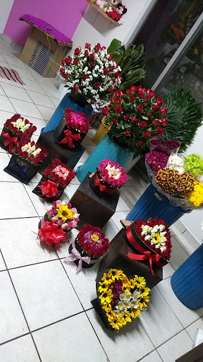 Floreria "La Siempre Viva"