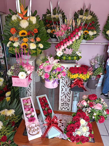 Florería "la Orquídea"