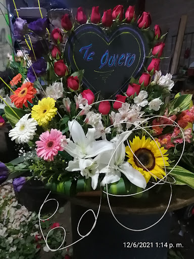 La estrella de san Juditas.