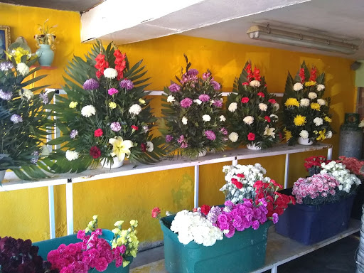 Florería Lopez