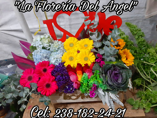 "La Florería del Angel"
