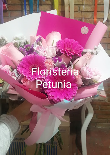Florería Petunia