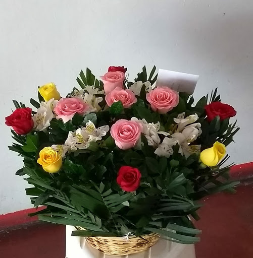 Floreria Iryss 47 Envia flores a domicilio