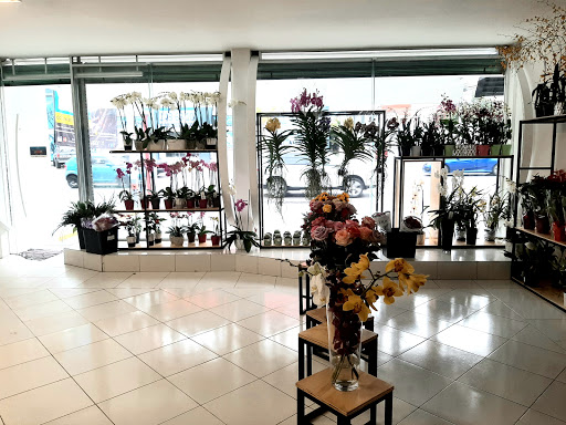 FLORES DE CHILTEPEC SA DE CV SUCURSAL PUEBLA