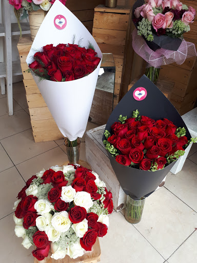 Florería ROSY Puebla