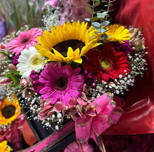 La Orquídea