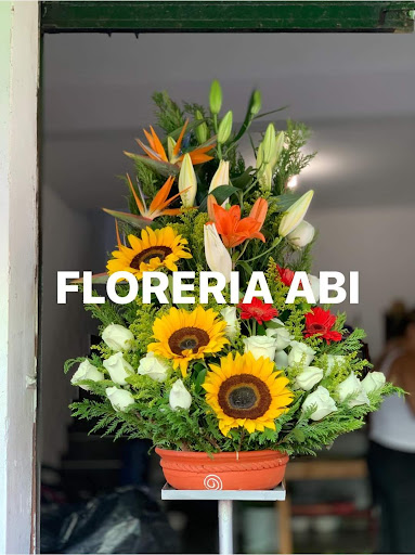 FLORERIA ABI