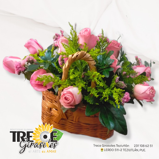 Florería Trece Girasoles Teziutlán