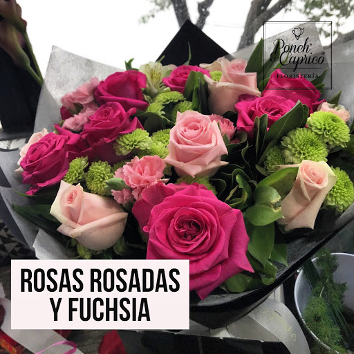 Florería Ponch' & Capricó | Envía Flores a Domicilio CDMX