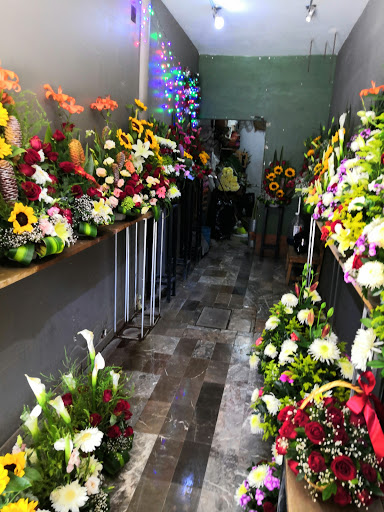 Lisianthus Floristería