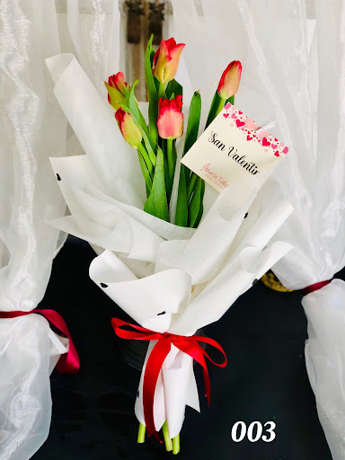 María Tulipa Diseño Floral