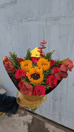 Florería Rose-Mary