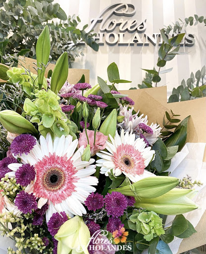 Flores el holandes