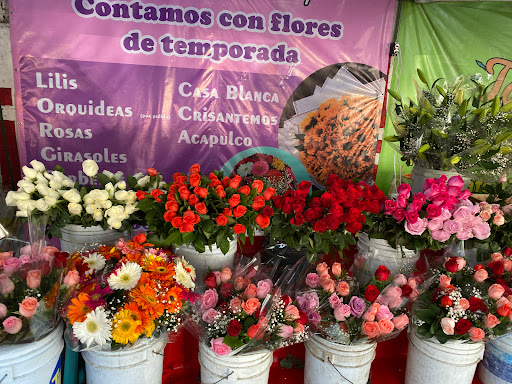 Florería Ray