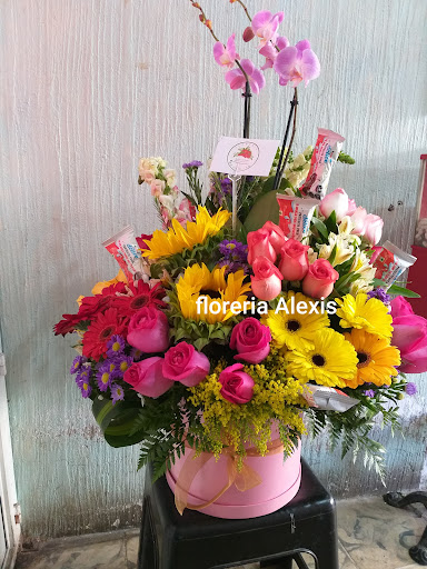 Florería Alexis