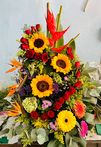FLORERIA DE YOLA