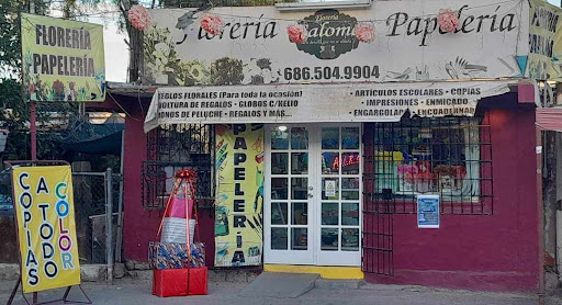 Floreria y papelería salome