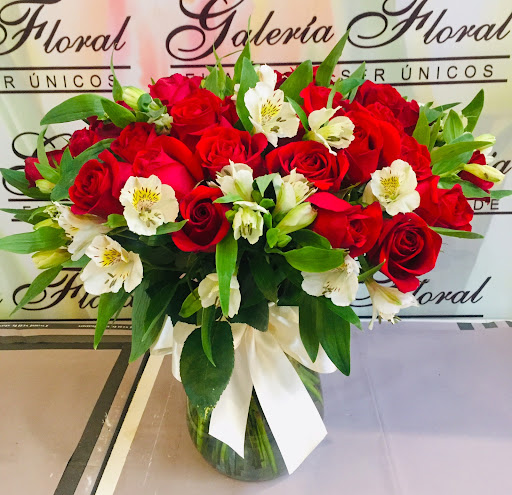 Galeria Floral Durango