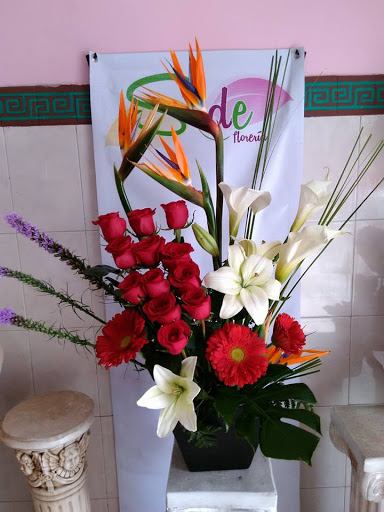 Florería Sode