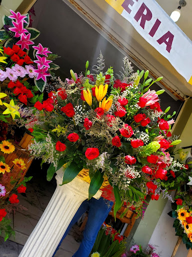 Floreria jireh Tabasco Zacatecas