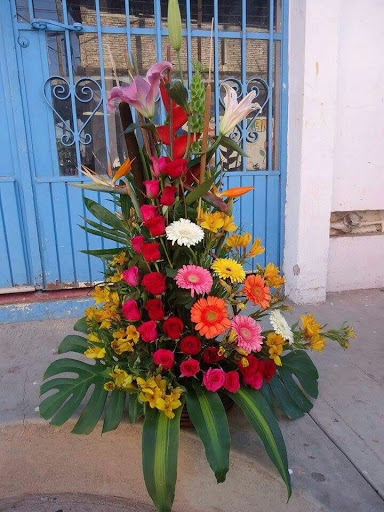 Floreria Orquidea Ejido Hermosillo