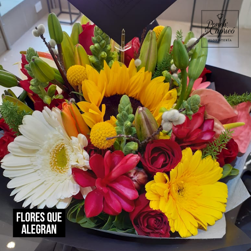 Florería Ponch' & Capricó | Envía Flores a Domicilio CDMX