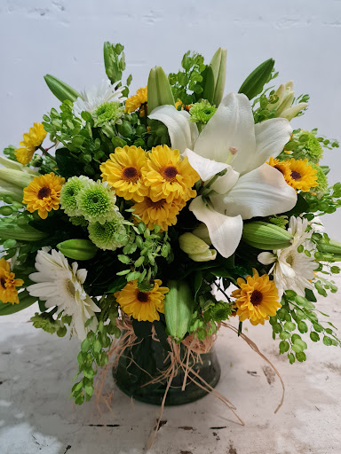 Florerias PicassoFlores